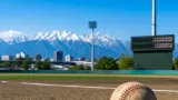 富山で波乱の夏続く 高校野球準決勝で富山商ら敗退