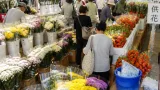 津の産直市場、供花特設会場で菊やほおずき販売