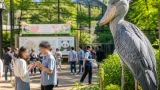 上野動物園で都主催の婚活、ハシビロコウが見守る出会い