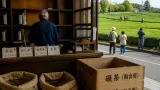 宇治で進む抹茶需要拡大が招く日常茶の値上がり懸念
