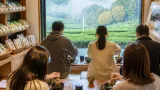 宇治周辺の茶産地で宿泊客向け抹茶体験 地元茶文化を着地型で発信