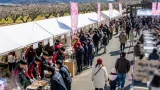 梅の魅力発信「ＵＭＥ―１フェスタ」来年２月７日にみなべで開催決定