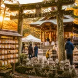 1200年の古社が「ネコ神社」に 縁結びと保護猫をつなぐ新たな取り組み