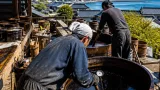 猛暑の下で守る輪島塗の「天日黒目」 伝統の漆精製を継承