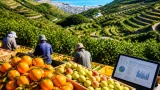 和歌山の農産物が全国首位を複数確保 県が2026年版生産額を公表