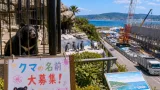 和歌山の暮らしに身近な話題が続々 動物園の新入りや給食無償化の動き