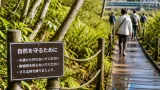和歌山・新宮の「浮島の森」 保全の歴史と市民への影響