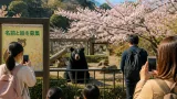 和歌山城公園動物園が新入りツキノワグマの名前と絵を募集