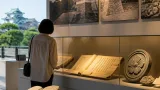 和歌山歴史館で企画展「和歌山城と豊臣政権」始まる