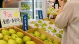 ラ・フランス店頭販売、過去最速で全国一斉開始