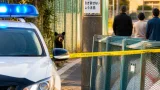 山形・鶴岡の高校敷地でクマ目撃 周辺住民に警戒呼び掛け