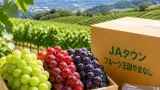 山梨産シャインなどぶどう JAタウンで予約開始