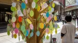 四日市・駅前で市民の声集める「アイデアツリー」設置