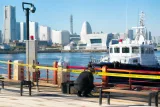 横浜・山下公園近く遺体、身元判明 市民に影響する捜査の経過