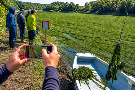 いわき・鮫川で広がる外来水草 住民生活と河川管理に影響
