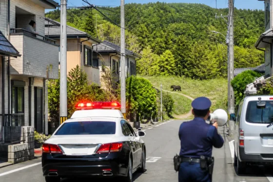 住宅地でクマ目撃、警察が警戒呼びかけ