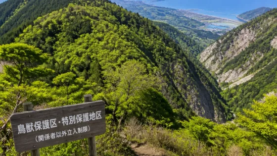 徳島の高丸山と轟、鳥獣特別保護地区が再指定承認