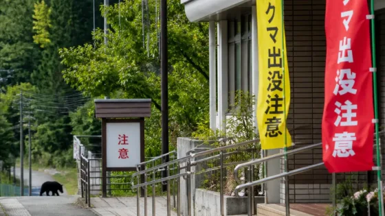 山形・長井で福祉施設近くにクマ出没 市が市内全域に注意喚起