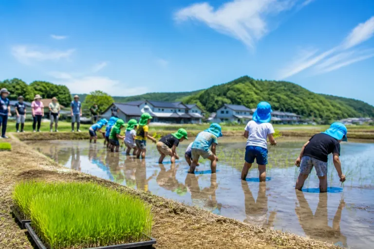 田んぼと保育が結ぶ地域の循環、赤磐で食農保育が始動