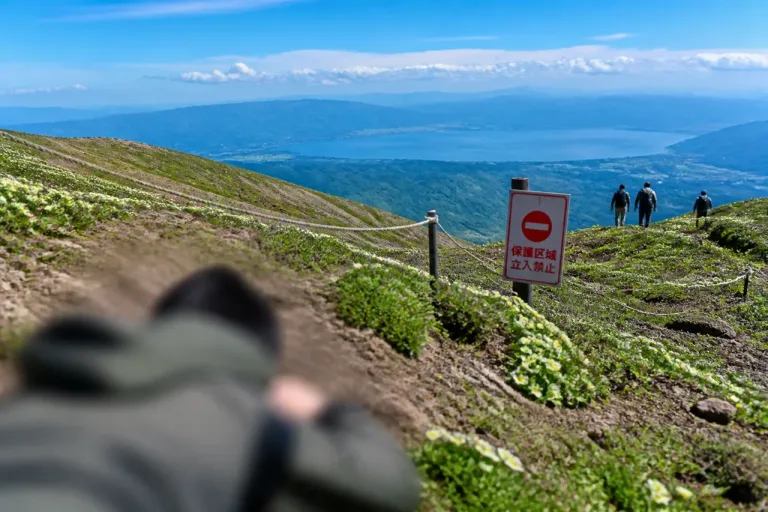 高山植物の上で寝転ぶ投稿に波紋 秋田駒ヶ岳で保護懸念