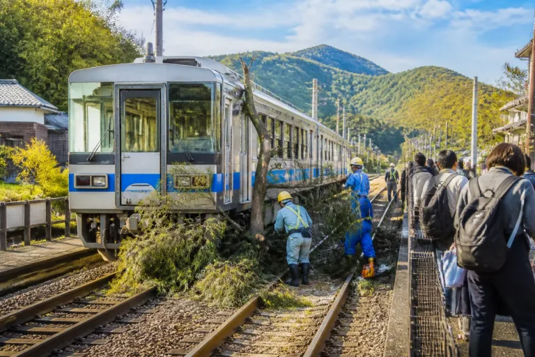 赤穂線で倒木接触 長船―播州赤穂間が運転見合わせ