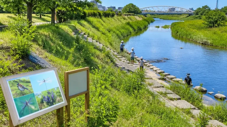 尼崎の猪名川・藻川が「水辺の楽校」に登録、環境学習と親水整備へ