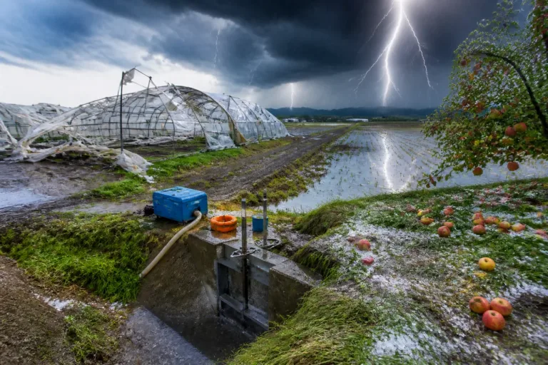 大雨・落雷・降ひょうで農作物被害警戒、県が緊急対策を発表