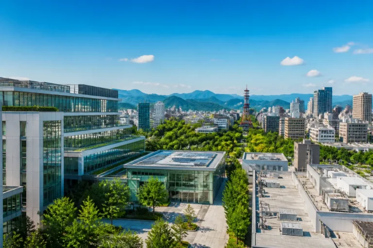 札幌に東大発AI拠点、地域の実装加速へ