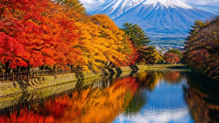 弘前で映える岩木山の初冠雪と紅葉