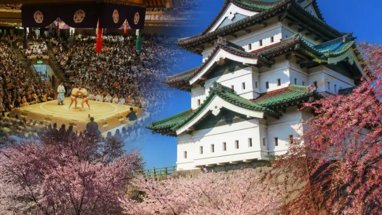 大相撲・名古屋中日、上位に波乱なし 弘前からも注目高まる