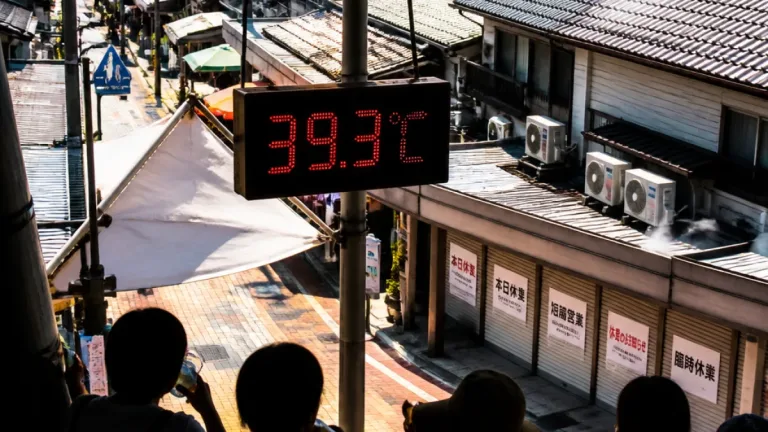 府中市で観測史上最高の39.3度 熱中症警戒アラートが続く
