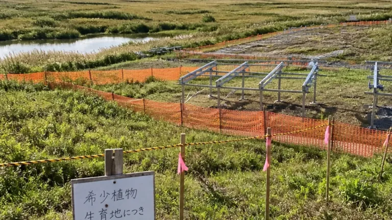 再エネ適地の見直し続出 自然と脱炭素の岐路に立つ北海道