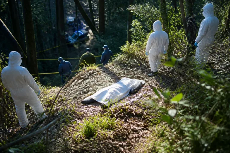鹿児島・姶良市山中で身元不明の男性遺体、警察が捜査