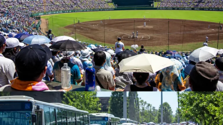 鹿児島で高校野球決勝 神村学園と鹿児島実が激突