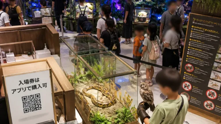 川越・まるひろで「アマゾン展」 貴重な触れ合いと夜間演出が期間限定で開催