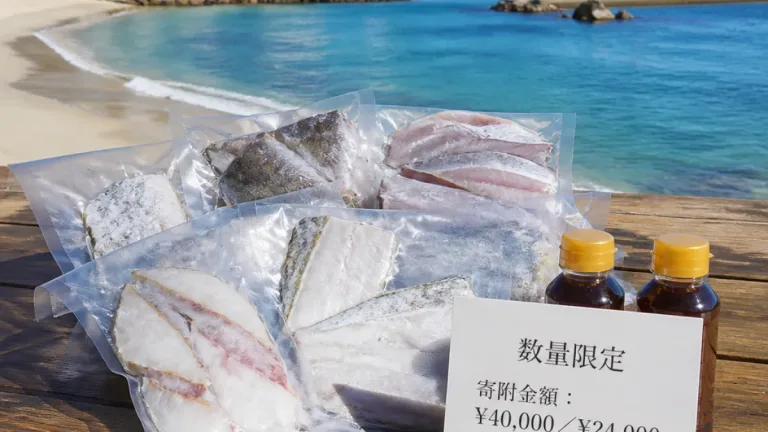 近大の新種「クエタマ」ふるさと返礼品に