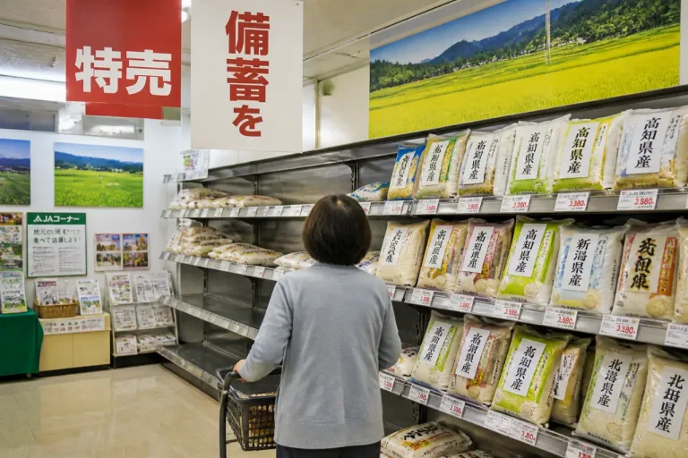 高知で続く「コメ離れ」懸念 安定供給と価格の中長期対策を