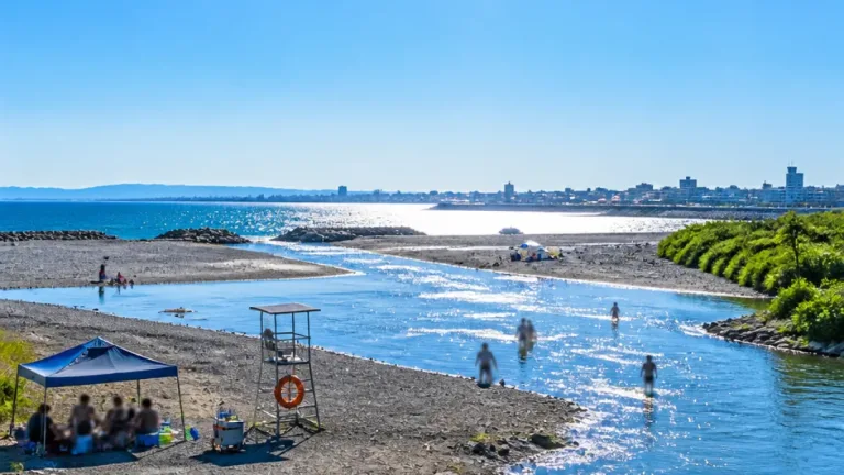 週末は厳しい暑さ 高知県、外出と水辺遊びに警戒を