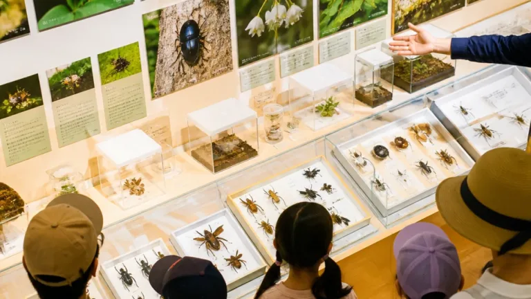 倉敷の博物館で特別展 身近な“危険な生き物”を展示し啓発