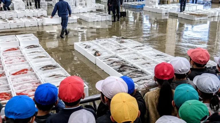 久留米の小学生、中央卸売市場で魚の競りを見学 食の流通理解深める