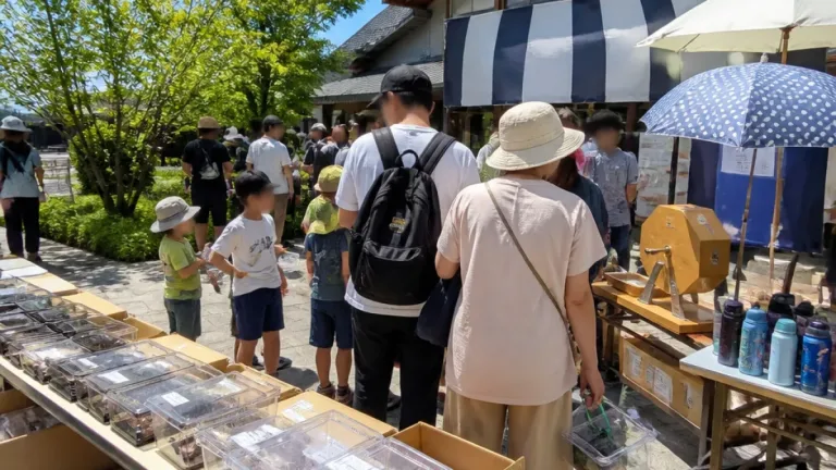 久留米近隣で昆虫無料配布 夏休みの家族連れに注意点と持ち物案内