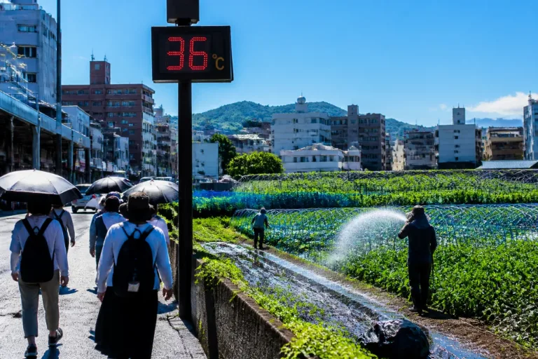 九州北部の梅雨明け確認 熊本でも季節一番の暑さ