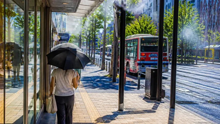 水戸で広がる日傘利用 強い日差しに備える暮らしの実践策
