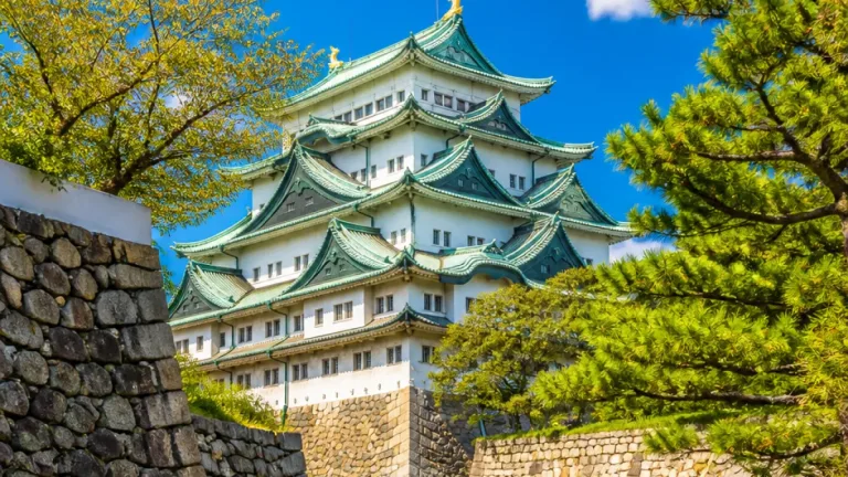 名古屋で安青錦が制した三つどもえの決定戦、地元に湧く歓声