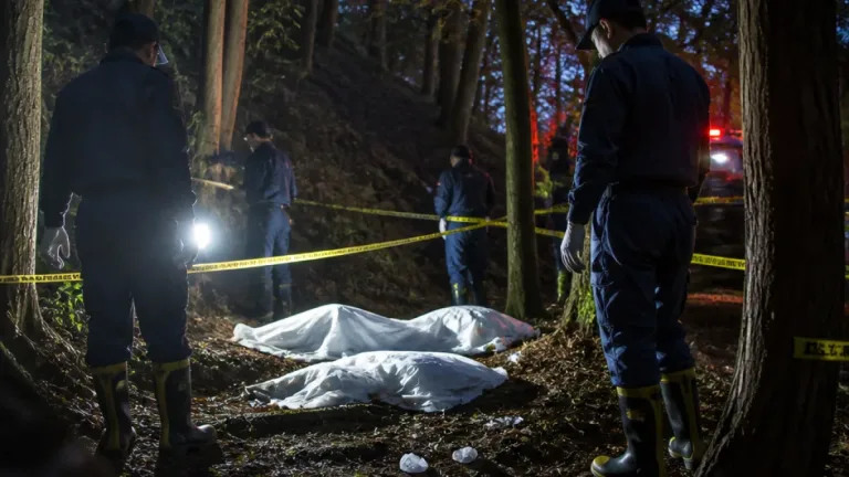 奈良市山中で女性2遺体、1人は三重県行方不明の母と確認