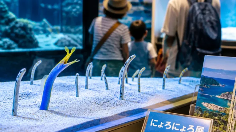 砂地に顔出す「にょろにょろ」展、すさみ町の水族館で夏の交流に