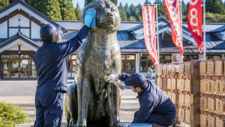 八並びの朝にハチ公へ感謝 大館・秋田犬の里で式典と像清掃