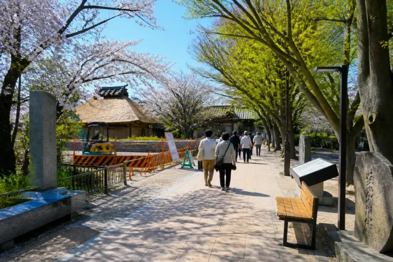 生誕500年へ備え「於大のみち」再整備を表明