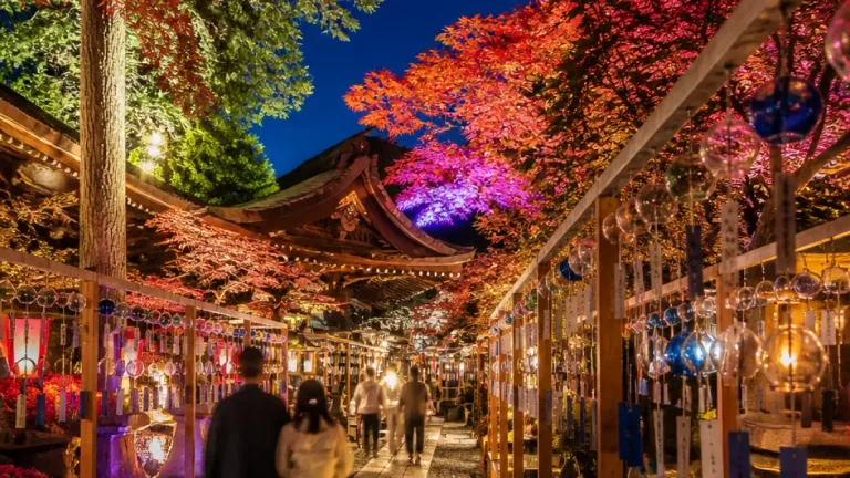 大津・寺の夏ライトアップ、風鈴の音で暑さを和らげる取り組み