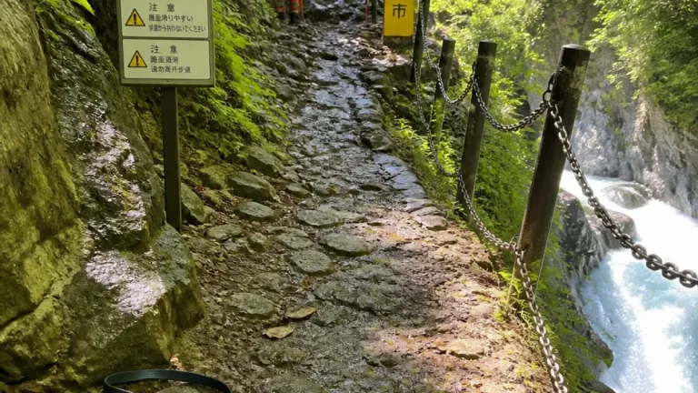 ペット同伴登山の増加で渓谷転落事故、専門家は原則控えるよう指摘